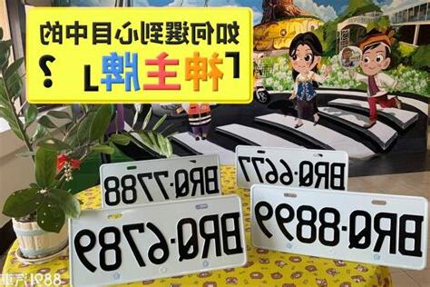 車牌 風水